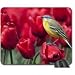 Produktbild Stelzen (Gattung) sitzen auf Rosen Mauspad, Mousepad (Birds Maus Pad)
