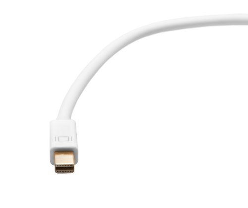 BlueRigger Mini Displayport (Thunderbolt) zu DVI Female Adapter-Kabel - 5