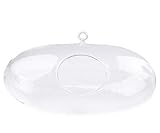 Dimensiones de 13 x 25 cmDe vidrio, Globos para las plantas o también terrario / aerium, sirve como un original colgante de la decoración. El interior es adecuado para las plantas más pequeñas, por ejemplo las plantas carnívoras. En lugar de las plantas también se puede utilizar para organizar decorativos arena, piedras, flores artificiales o velas flotantes. Aerium ha bucle, a través del cual usted puede tirar incluye cadena.
