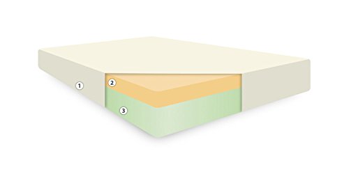 Preisvergleich Produktbild cosyco Schaumstoff Matratze