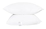 Abeil Oreiller SoClean antitache Lot de 2 oreillers Coton 60 x 60 cm
