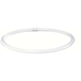 Ampoule Fluorescente Sylvania T9 Donut 32W - G10q - Blanc Chaud 2700K - 2250lm