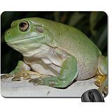 Los blancos rana de árbol ranas alfombrilla de ratón, alfombrilla de ratón (alfombrilla de...