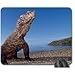 Produktbild Komodo Dragon Mouse Pad, Mousepad (Reptiles Mouse Pad)