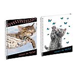 Télécharger Exacompta 99914E bloc-notes - Blocs-notes (Universel, Uniforme, Mat, 170 mm, 220 mm) Gratuit