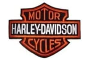 GZM Patch Toppa Harley Davidson Logo B&S Piccola 8x6 CM x Giacche e Gilet