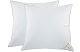 moebelfrank 2X Kopfkissen 100% Gänse-Federn Klasse 1 Kissen 80x80 Claudia moebelfrank 2X Kopfkissen 100% Gänse-Federn Klasse 1 Kissen 80x80 Claudia