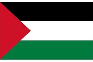 UKFLAGSHOP 18" x 12" (45 x 30 cm) Palestine Palestinian Sleeved Boat Courtesy 100% Polyester Material Hand Waving Flag Banner Ideal For Pub Club School Festival Business Party Decoration