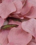 Artificial Rose Petals - Dark Rose Pink