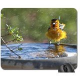 Preisvergleich Produktbild Vogeltränke Fun Mauspad, Mousepad (Birds Maus Pad)