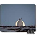 Preisvergleich Produktbild White rabbit and moon Mouse Pad, Mousepad