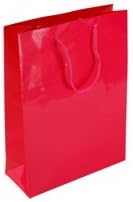 Shopping Bags Direct Medium Portrait Dark Pink Gloss laminated Matching Rope Handles Paper Bags 25 x 34 x 10