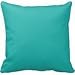 Produktbild Decors Ocean Breeze Aqua Teal Blue Solid Color Backround Throw Pillow Case Cushion Cover Home Sofa Decorative 16 X 16 Squares Case Cushion Cover Home Sofa Decorative 16 X 16 Squares (Twin Sides)