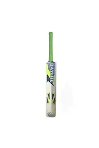 Daylight Vishnu Ji Sports Daylite Junior Cricket Bat for 5-10 Years Boys (Multicolour)