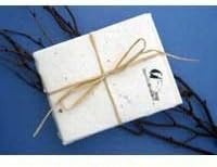 Cast Paper Art Note Cards-Chickadee 1 Pk-10 Cards Eco-Conscious Eco-Conscious Product Line