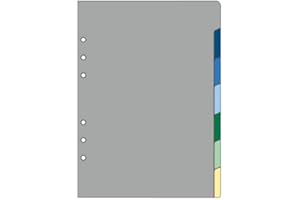 OBERTHUR - Recharge Organiseur 21 -7 Intercallaires de Rubrique - 15x21cm