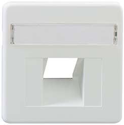 Rutenbeck 13510052 – 1 Output Central plate for Base UAE 5E/6 White Polar