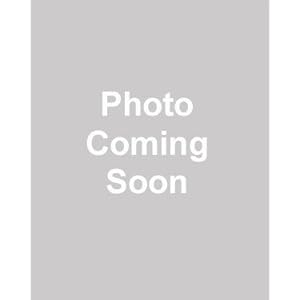 Lucky Reptile - Ersatz Trafo elektronisch - für Super Fog