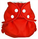 AppleCheeks Washable Nappy,Pocket Diaper, Nappy Cover Wrap and Organic Cotton/Bamboo Insert 2 Piece Bundle - Cherry Tomato Size 2 (18-35lbs plus approx)