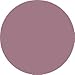 L'Oreal Color Appeal Single Eye Shadow, Metal Plum Number 153