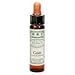 Produktbild Dr Bach Cerato bach Flower Remedy 10ml