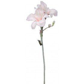 Preisvergleich Produktbild Amaryllis, 2 Blüten, 54 cm - Rosa (künstlich)