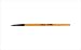 Vega Lip Liner with Wooden Handle and Natural Animal/Synthetic Hair RS.79.00