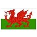 Price comparison product image Welsh Flag 5ft x 3ft