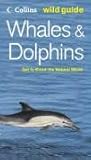 Whales and Dolphins Whales and Dolphins