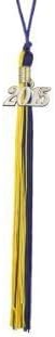 Graduation Tassel with 2014 Year Charm (Royal Blue and Gold) by mountain of books