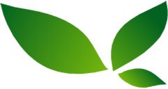 Aries: Mückenstift Roll-On (10 ml) - 2