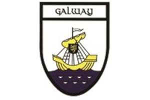 Eurostick Galway Irish County Crest Shield Car Bike Sticker Decal Northern Ireland