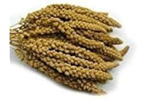 APPLEJACKS PET SUPPLIES Millet Spray 1 kg
