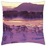 winter landscape fukushima japan - Throw Pillow Cover Case (18