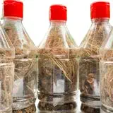 11 Araku Valley Roots For Hair Oil-1 Bottle