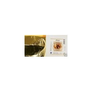 Preisvergleich Produktbild 500 Blatt Blattgold, Schlagmetall 16 x16 cm, zum vergolden