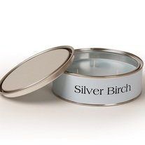 Pintail Candles Large 3 Wick Scented Candle Tin - Silver Birch
