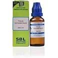 SBLC0 Thuja Occidentalis (200CH) 30 ml || Shophomeo®