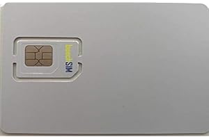 BEACHSIM Tarjeta SIM de prepago para localizador GPS, Adecuada por Ejemplo para Winnes, Paj-GPS