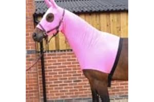 RUGGLES EQUESTRIAN Ruggles Lycra Hood With Zip Available for Horse and Pony | Available with or without Ears | Very Useful to Keep Horse/Pony Cleaner and Keep Plaits in Place (Large No Ears, Bright Pink)