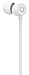 Apple BeatsX Stereofonico Interno orecchio Bianco