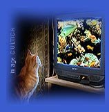 KAMINFEUER AQUARIUM UND VIEL MEHR 58 STIMMUNG UND RAUMDEKO AUF KNOPFDRUCK - 6