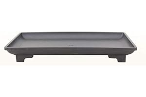 JAPANSAI Plato Plástico para Bonsai Resistente Color Negro Medidas 15x10 Centímetros | Tamaños Diferentes para Elegir | Ideal para Regar los Bonsáis