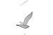Seagull