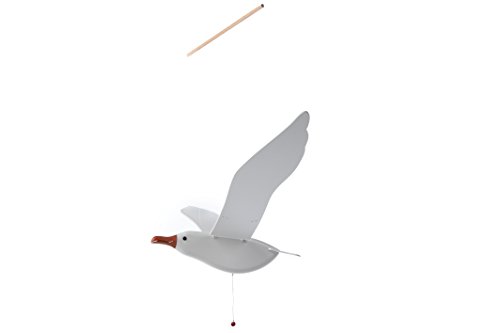 Seagull