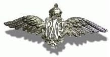 RAF Wings Badge