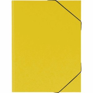 Preisvergleich Produktbild Brunnen 10 x Sammelmappe Fact!Plus A3 Karton gelb