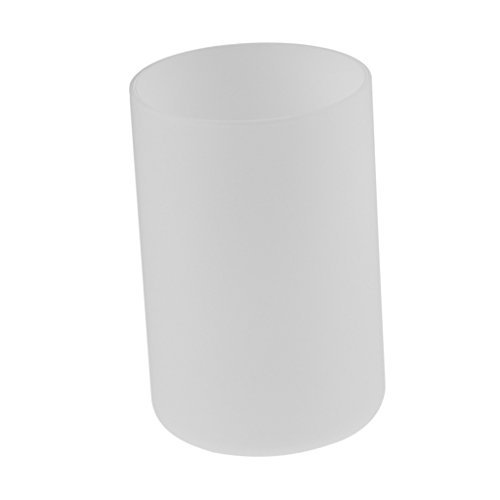 Preisvergleich Produktbild Baoblaze Stilvoller Lampenschirm für Wandlampe Hängeleuchte Flurlampe für Haus, Bar, Restaurant, Café - Dia. 12 cm