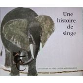 couverture de : Une histoire de singe