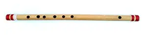 Prince Professional Side Flute, Flute, Scale 